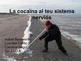 La cocaïna al teu sistema
          nerviós


Isabel Benavent
Lourdes Cardo
Carolina Seguí
3er ESO A
 
