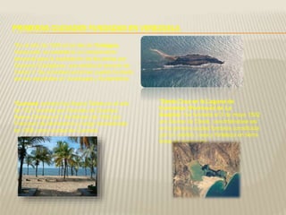 PRIMERAS CIUDADES FUNDADAS EN VENEZUELA
*En el año de 1500 en la Isla de Cubagua,
Venezuela: se estableció un campamento
temporal para la explotación de las perlas por
Giacomo Castiglione, que estaba al servicio de
Carlos V. Se considera el primer pueblo fundado
por los españoles en Venezuela y Sudamérica.
*Santa Cruz en la Laguna de
Cosinetas (Península de La
Guajira): fue fundada el 3 de mayo 1502
por Alonso de Ojeda, convirtiéndose así
en la primera ciudad fundada constituida
por un cabildo, casa y fortaleza en tierra
firme de Venezuela.
*Cumaná: primero fue Nueva Toledo en el año
de 1521 fundada por Gonzalo de Ocampo.
Nueva Córdova el 1 de febrero de 1562 por
Francisco de Montesinos y luego reconstruida
en 1569 como ciudad de Cumaná.
 