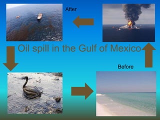 After Oil spill in the Gulf of Mexico Before 