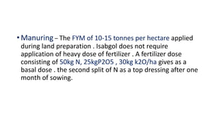 •Manuring – The FYM of 10-15 tonnes per hectare applied
during land preparation . Isabgol does not require
application of heavy dose of fertilizer . A fertilizer dose
consisting of 50kg N, 25kgP2O5 , 30kg k2O/ha gives as a
basal dose . the second split of N as a top dressing after one
month of sowing.
 