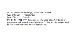 • ACTIVE PRINCIPLE- Mucilage, Xylose and Arbinose
• Type of flower- Protogynous
• Type of Fruit - Capsule
• Medicinal Property –laxative property, used against irritation in
gastrointestinal , Constipation dysentery, Cooling and demulcent used
to cure inflammation of mucous membrane .
 