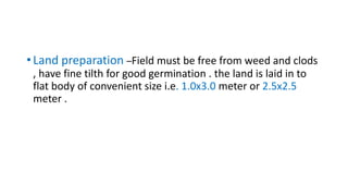 •Land preparation –Field must be free from weed and clods
, have fine tilth for good germination . the land is laid in to
flat body of convenient size i.e. 1.0x3.0 meter or 2.5x2.5
meter .
 