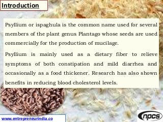 www.entrepreneurindia.co
Introduction
Psyllium or ispaghula is the common name used for several
members of the plant genus...