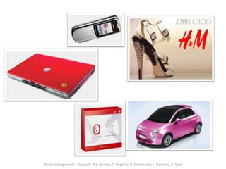 Brand Management – Group 4 - E.L. Mulder, C. Neghina, D. Oosterveer, L. Partouns, S. Voet