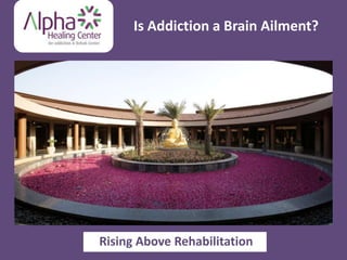 Is Addiction a Brain Ailment?
Rising Above Rehabilitation
 