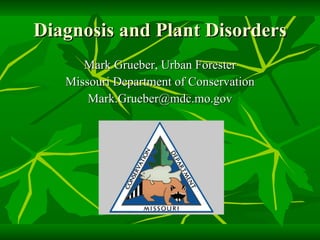 Diagnosis and Plant Disorders ,[object Object],[object Object],[object Object]