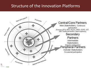 Structure of the Innovation Platforms
 