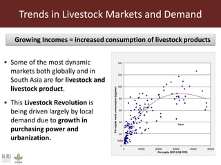 Trends in Livestock Markets and Demand
• Some of the most dynamic
markets both globally and in
South Asia are for livestock and
livestock product.
• This Livestock Revolution is
being driven largely by local
demand due to growth in
purchasing power and
urbanization.
0
20
40
60
80
100
120
140
0 10000 20000 30000 40000 50000
Percapitameatconsumpion(kg/year)
Per capita GDP (US$ PPP)
Japan
China
India
Brazil
Growing Incomes = increased consumption of livestock products
 