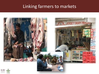 Livestock marketing and supply chain management of livestock products 