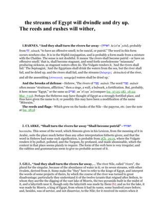 the streams of Egypt will dwindle and dry up.
The reeds and rushes will wither,
1.BARNES, “And they shall turn the rivers far away - (‫חוּ‬ ‫האז‬ he'eze
nı ychu), probably
from ‫זנח‬ zanach, “to have an offensive smell; to be rancid, or putrid.” The word in this form
occurs nowhere else. It is in the Hiphil conjugation, and is probably a form made from a mixture
with the Chaldee. The sense is not doubtful. It means ‘the rivers shall become putrid - or have an
offensive smell;’ that is, shall become stagnant, and send forth unwholesome “miasmata”
producing sickness, as stagnant waters often do. The Vulgate renders it, ‘And the rivers shall
fail.’ The Septuagint, ‘And the Egyptians shall drink the waters from the sea, but the river shall
fail, and be dried up, and the rivers shall fail, and the streams (διᆹρυχες dioruches) of the river,
and all the assembling (συναγωγή sunagoge) waters shall be dried up.’
And the brooks of defense - Hebrew, ‘The rivers of ‫מצור‬ matsor. The word ‫מצור‬ matsor
often means “straitness, affliction;” then a siege, a wall, a bulwark, a fortification. But, probably,
it here means “Egypt,” or the same as ‫מצרים‬ mı tse
rayı m (compare Isa_37:25; 2Ki_18:24;
Mar_7:12). Perhaps the Hebrews may have thought of Egypt as a strongly fortified place, and
thus have given the name to it; or possibly this may have been a modification of the name
“Mitsraim.”
The reeds and flags - Which grew on the banks of the Nile - the papyrus, etc. (see the note
at Isa_18:2)
2. CLARKE, “Shall turn the rivers far away “Shall become putrid” - ‫האזניח‬‫ו‬
heeznichu. This sense of the word, which Simonis gives in his Lexicon, from the meaning of it in
Arabic, suits the place much better than any other interpretation hitherto given; and that the
word in Hebrew had some such signification, is probable from 2Ch_29:19, where the Vulgate
renders it by polluit, polluted, and the Targum, by profaned, and made abominable, which the
context in that place seems plainly to require. The form of the verb here is very irregular; and
the rabbins and grammarians seem to give no probable account of it.
3. GILL, “And they shall turn the rivers far away,.... The river Nile, called "rivers", the
plural for the singular, because of the abundance of water in it; or its seven streams, with other
rivulets, derived from it. Some make the "they" here to refer to the kings of Egypt, and interpret
the words of some projects of theirs, by which the course of the river was turned to great
disadvantage; particularly they understand it of the twelve tyrants that reigned after Sethon, to
whom they ascribe the digging of the vast lake of Moeris, the two pyramids built in the midst of
it, and a labyrinth near it, though only the labyrinth was made by them (b); and as for the lake, it
was made by Moeris, a king of Egypt, from whom it had its name, some hundred years before;
and, besides, was of service, and not disservice, to the Nile; for it received its waters when it
 
