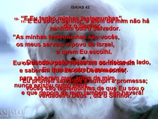 ISAÍAS 43 10-  “E Eu tenho minhas testemunhas”,  diz o Senhor. “ As minhas testemunhas são vocês,  os meus servos, o povo de Israel,  a quem Eu escolhi. Eu os escolhi para vocês me conhecerem  e saberem que Eu sou Deus mesmo;  para saberem que, antes de mim,  nunca existiu outro Deus,  e que depois de mim também não haverá! 11-  E Eu sou o Senhor, e além de mim não há nenhum outro Salvador. 12-  Quando vocês deixaram os ídolos de lado, Eu lhes mostrei o meu poder. Eu prometi salvá-los e cumpri a promessa; vocês são testemunhas de que Eu sou o verdadeiro Deus”, diz o Senhor. 