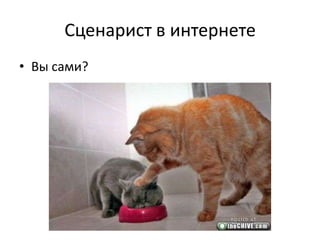 Сценарист в интернете
• Вы сами?
 