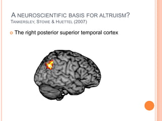 A NEUROSCIENTIFIC BASIS FOR ALTRUISM?
TANKERSLEY, STOWE & HUETTEL (2007)

   The right posterior superior temporal cortex
 