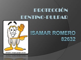 PROTECCIÓN DENTINO-PULPAR       Isamar romero82632 