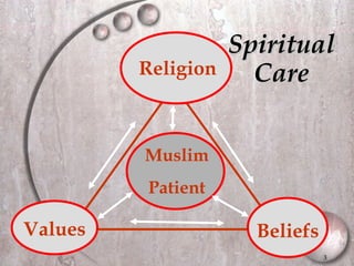 Values Beliefs Religion Muslim Patient Spiritual  Care  