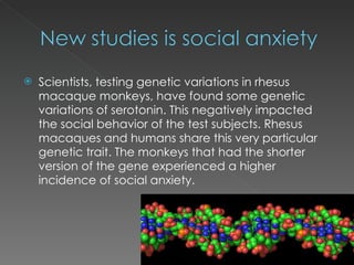 Scientists, testing genetic variations in rhesus macaque monkeys, have found some genetic variations of serotonin. This negatively impacted the social behavior of the test subjects. Rhesus macaques and humans share this very particular genetic trait. The monkeys that had the shorter version of the gene experienced a higher incidence of social anxiety. 
