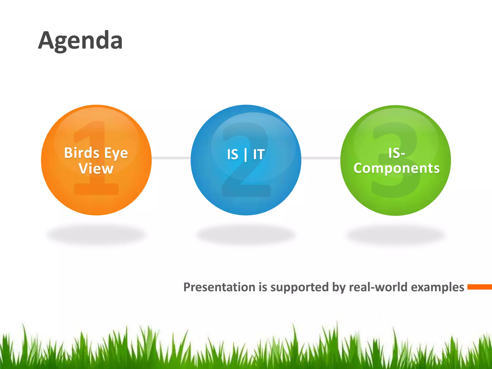 Agenda132Birds Eye ViewIS- ComponentsIS | ITPresentation is supported by real-world examples