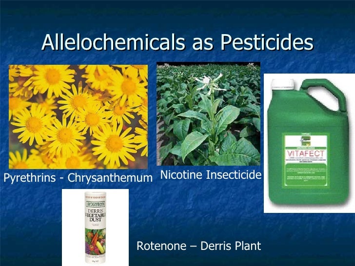 Isa plant health care Isa plant health care