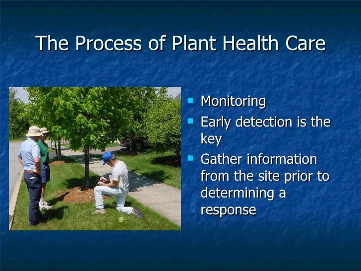 Isa plant health care