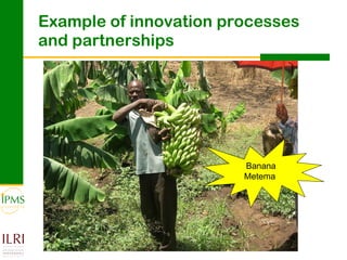 Innovation systems approach for agricultural transformation