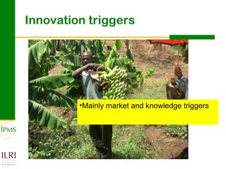 Innovation systems approach for agricultural transformation