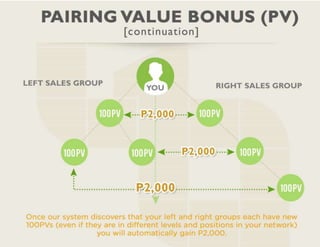 Infinity Supreme Alliance Presentation