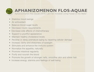 Infinity Supreme Alliance Presentation