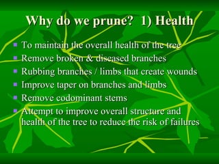 Why do we prune?  1) Health To maintain the overall health of the tree Remove broken & diseased branches Rubbing branches / limbs that create wounds Improve taper on branches and limbs Remove codominant stems Attempt to improve overall structure and health of the tree to reduce the risk of failures 