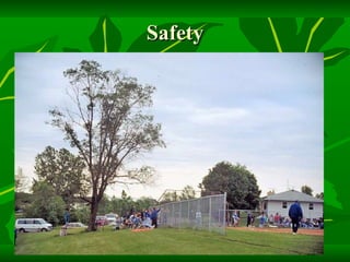 Safety 