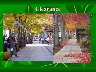 Clearance 