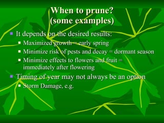 When to prune? (some examples) It depends on the desired results: Maximized growth = early spring Minimize risk of pests and decay = dormant season  Minimize effects to flowers and fruit = immediately after flowering Timing of year may not always be an option Storm Damage, e.g. 