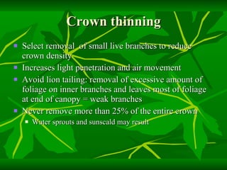 Crown thinning Select removal  of small live branches to reduce crown density Increases light penetration and air movement Avoid lion tailing: removal of excessive amount of foliage on inner branches and leaves most of foliage at end of canopy = weak branches Never remove more than 25% of the entire crown Water sprouts and sunscald may result 