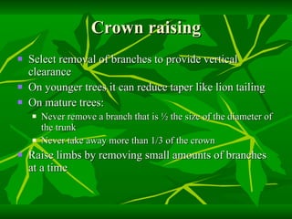 Crown raising Select removal of branches to provide vertical clearance On younger trees it can reduce taper like lion tailing On mature trees: Never remove a branch that is ½ the size of the diameter of the trunk Never take away more than 1/3 of the crown Raise limbs by removing small amounts of branches at a time 