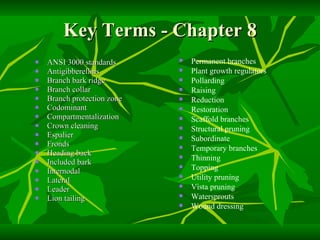 Key Terms - Chapter 8 ANSI 3000 standards Antigibberellins Branch bark ridge Branch collar Branch protection zone Codominant Compartmentalization Crown cleaning Espalier Fronds Heading back Included bark Internodal Lateral Leader Lion tailing Permanent branches Plant growth regulators Pollarding Raising Reduction Restoration Scaffold branches Structural pruning Subordinate Temporary branches Thinning Topping Utility pruning Vista pruning Watersprouts Wound dressing 
