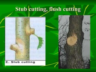 Stub cutting, flush cutting 