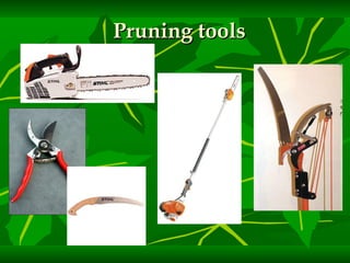 Pruning tools 