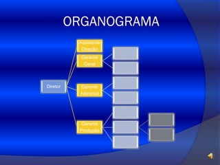 ORGANOGRAMA
Assistente
Direção
Gerente
Geral

Diretor

Gerente
Adiminist

Gerente
Produção

 