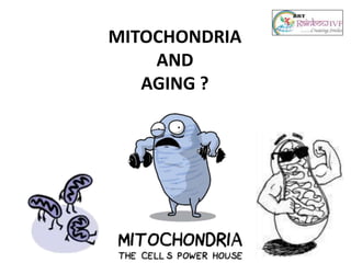 MITOCHONDRIA
AND
AGING ?
 