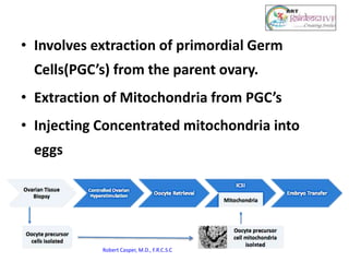 • Involves extraction of primordial Germ
Cells(PGC’s) from the parent ovary.
• Extraction of Mitochondria from PGC’s
• Injecting Concentrated mitochondria into
eggs
Robert Casper, M.D., F.R.C.S.C
 