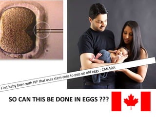 SO CAN THIS BE DONE IN EGGS ???
 