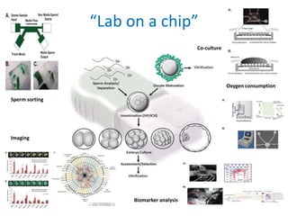 “Lab on a chip”
Sperm sorting
Imaging
Co-culture
Oxygen consumption
Biomarker analysis
 