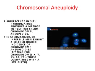 Chromosomal Aneuploidy
FLUORESCENCE IN SITU
HYBRIDIZATION
PROVIDES A METHOD
TO TEST FOR SPERM
CHROMOSOMAL
ANEUPLOIDY.
THE SPERMATOZOA OF
INFERTILE MEN EXHIBIT
A 10-FOLD HIGHER
INCIDENCE OF
CHROMOSOME
ANEUPLOIDIES
(TESTING FOR
CHROMOSOMES X, Y,
13, 18, 21—THOSE
COMPATIBLE WITH A
LIVE BIRTH)
 