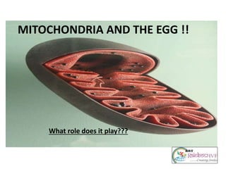 MITOCHONDRIA AND THE EGG !!
What role does it play???
 