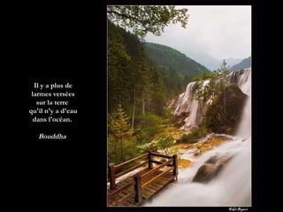 Il y a plus de larmes versées sur la terre  qu'il n'y a d'eau dans l'océan.  Bouddha  
