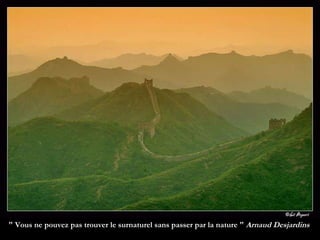 " Vous ne pouvez pas trouver le surnaturel sans passer par la nature "  Arnaud Desjardins  