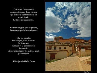 Cultivons l’amour et la compassion, ces deux choses  qui donnent véritablement un sens à la vie.  Le reste est accessoire.  Voilà la religion que je prêche, davantage que le bouddhisme.  Elle est simple.  Son temple, c’est le cœur.  Sa doctrine,  l’amour et la compassion.  Sa morale,  aimer et respecter les autres, quels qu’ils soient.  Principe du Dalaï Lama 