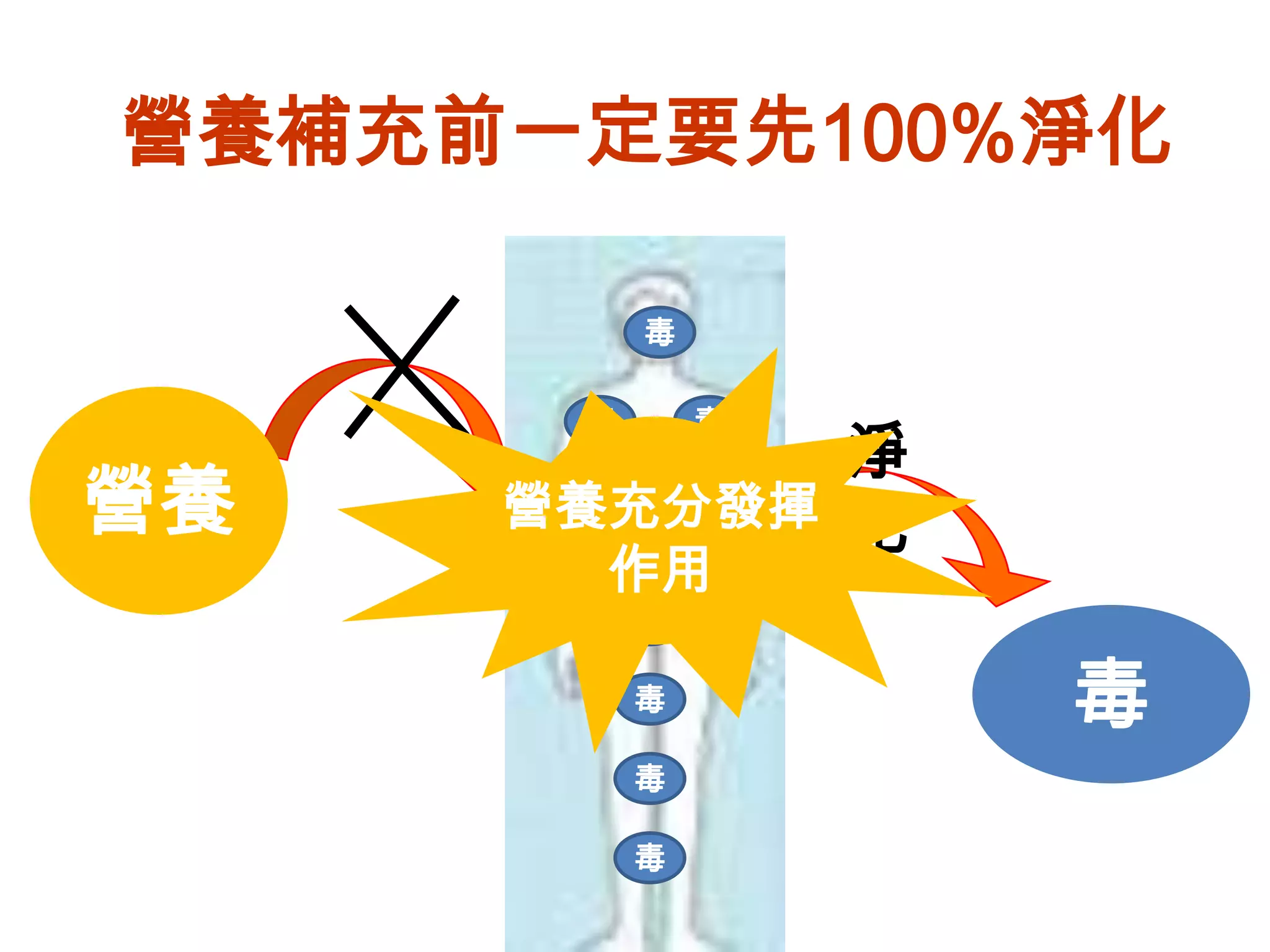 營養補充前一定要先100%淨化

          毒

      毒       毒
            淨
營養        毒
     營養充分發揮 化
      營養
       毒
       作用
          毒

          毒       毒
          毒

          毒
 