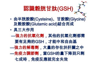 認識榖胱甘肽(GSH)
• 由半胱胺酸(Cysteine)、甘胺酸(Glycine)
  及榖胺酸(Glutamic acid)結合而成
• 具三大作用
 —強力的抗氧化劑，其他的抗氧化劑都需
  要有足夠的GSH，才能中和自由基
—強力的解毒劑，大量的存在於肝臟之中
—免疫力調節劑，當GSH的量下降到只剩
  七成時，免疫反應就完全失效
 