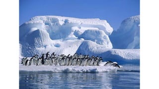 Isas mailen, himno nacional