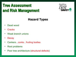 Isa training tree risk assessment & cabling bracing | PPT